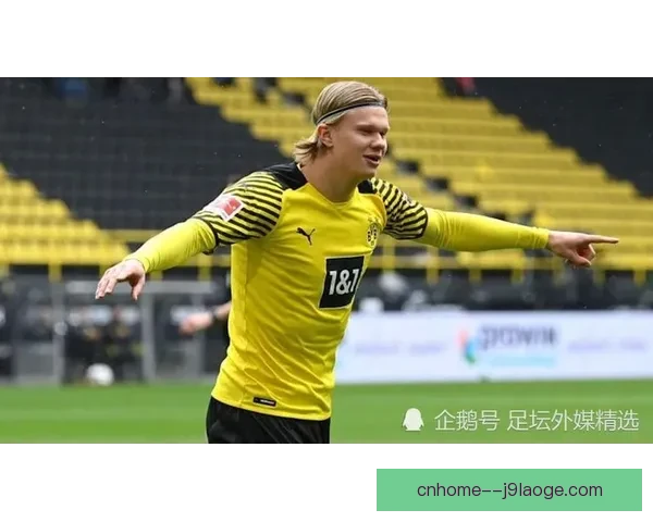 佛罗伦萨高价签下古德蒙德松引发转会市场震动分析